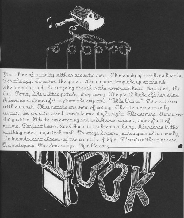 Björk - Conversation With Björk - Book