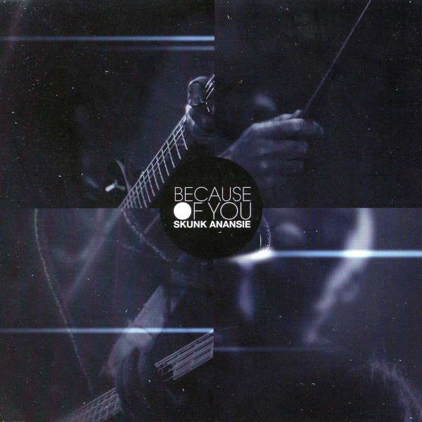 Skunk Anansie ‎– Because Of You