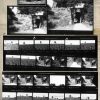 Crass - A Pictorial History Book - One Little Independent